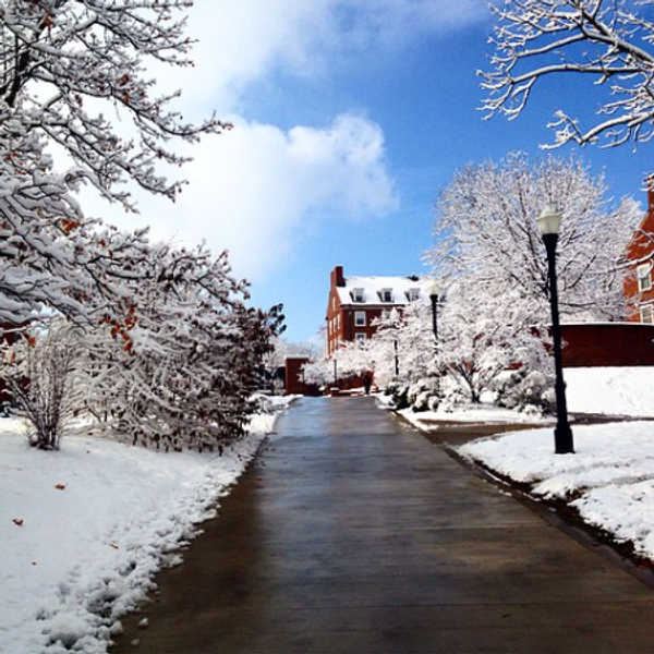 I Am Not A Science Major But I Am Smart