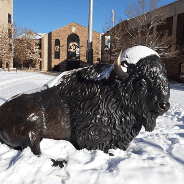 Stop Picking On Out-Of-Staters For Being Cold