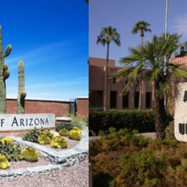 The University Of Arizona VS. Arizona State University, Which Is Really The Better School?