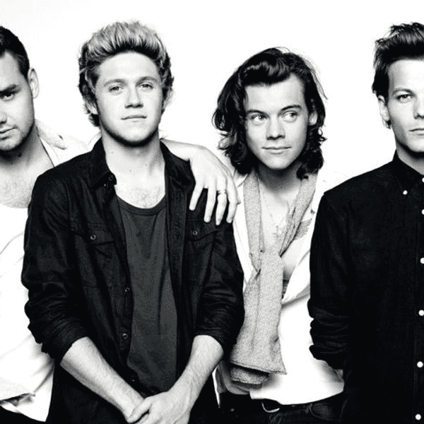 2015 As Told By A Directioner