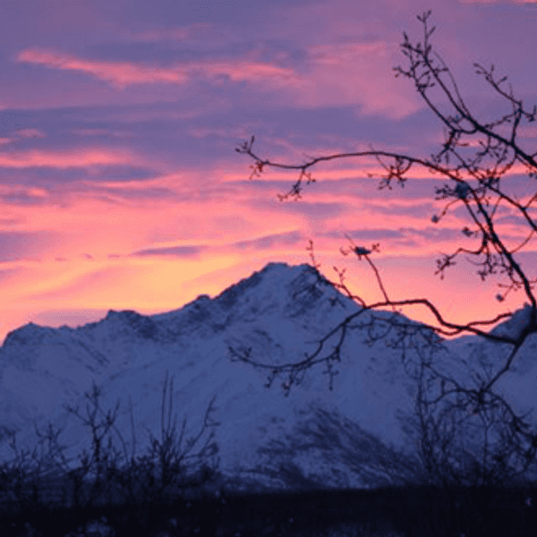Alaska: Why It's The Best State
