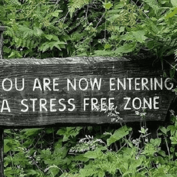 10 Ways To De-Stress Before Finals