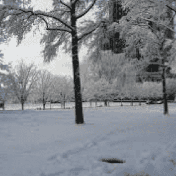 12 Thoughts Everyone Has Between Thanksgiving And Winter Break