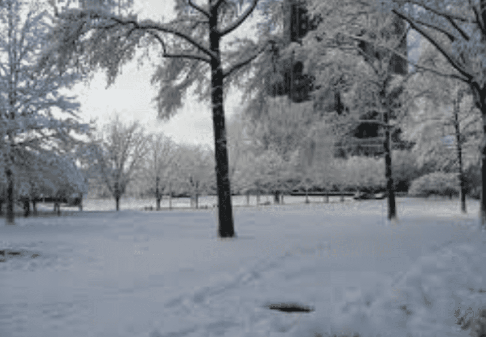 12 Thoughts Everyone Has Between Thanksgiving And Winter Break