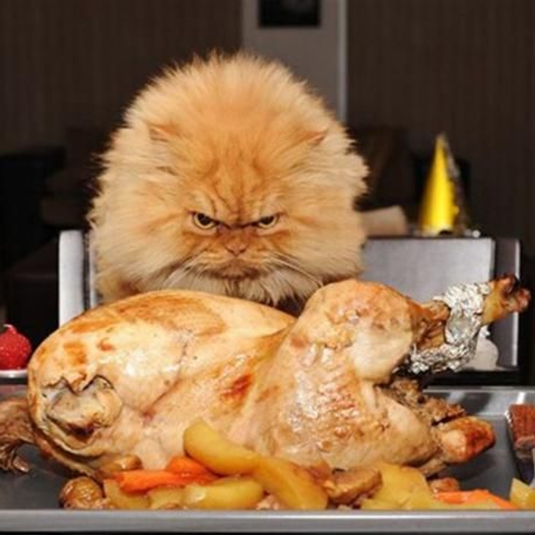 4 Reasons Why Thanksgiving Is The Worst