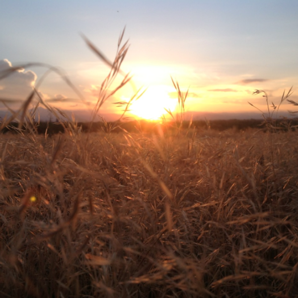 15 Signs You Grew Up In A Small Town