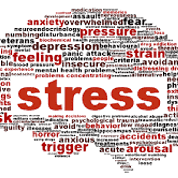 Feeling Stressed?