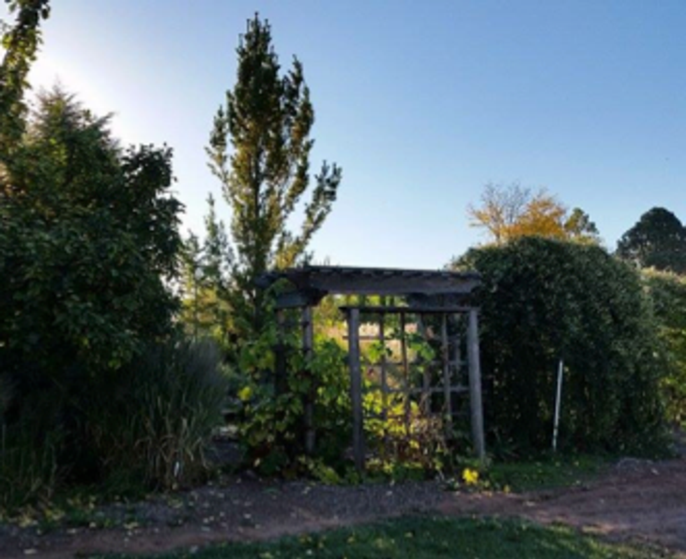 CSU Student Sustainable Farm