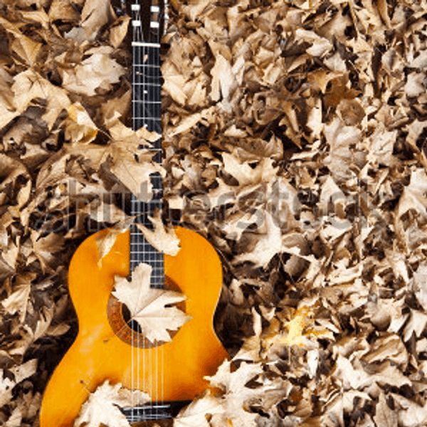 The Fall Playlist You Never Knew You Needed