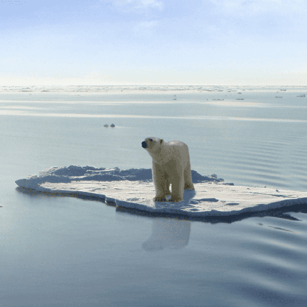 The Misconception With Global Warming
