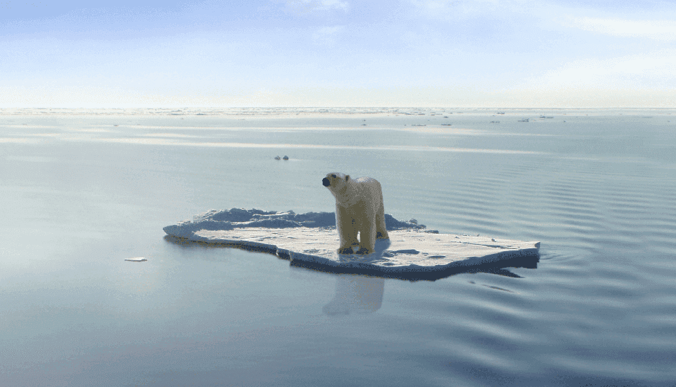 The Misconception With Global Warming
