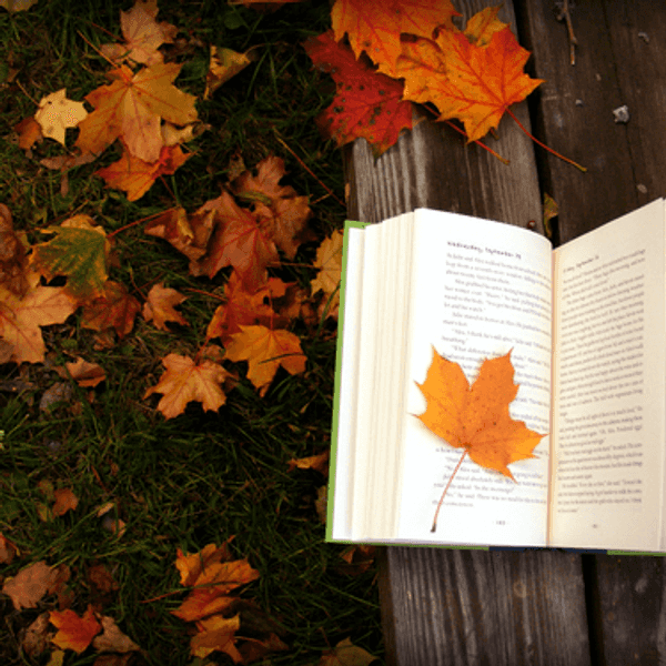 7 Reasons Why You Should Fall In Love With Fall