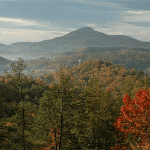 6 Reasons I Love Getting Away From The City