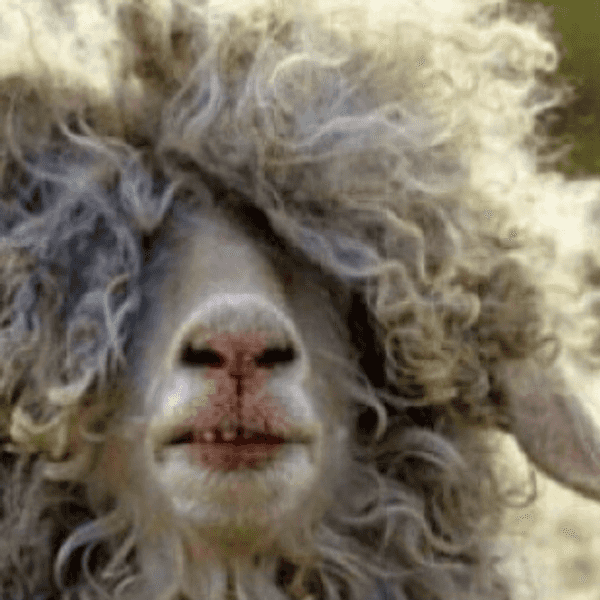 The 15 Struggles Of Women With Thick Hair