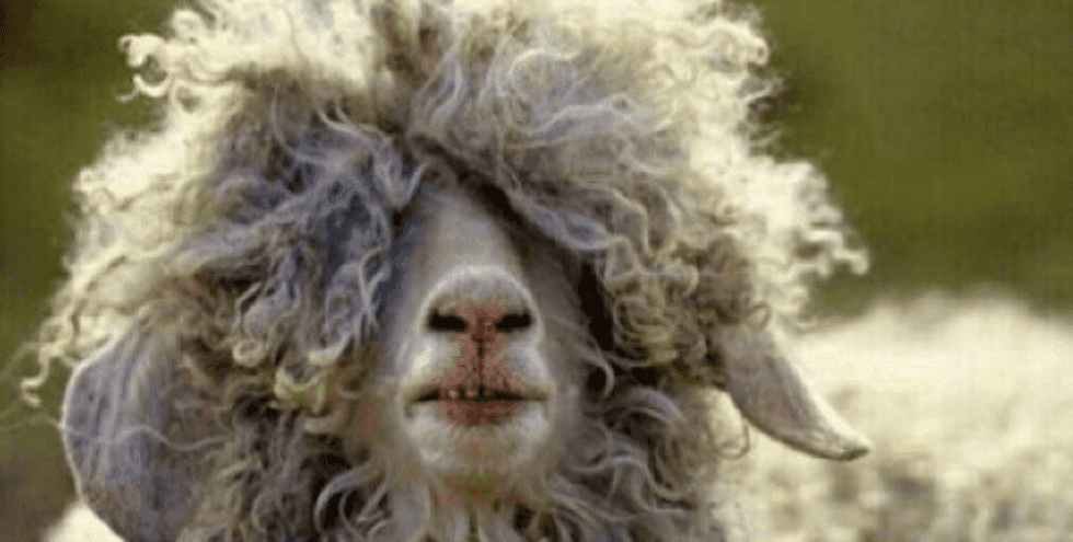 The 15 Struggles Of Women With Thick Hair