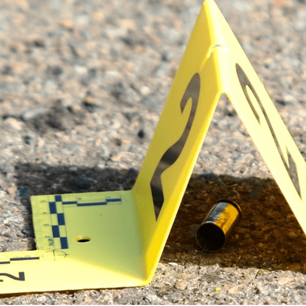 Stop The Insanity: A Plea For Stricter Gun Legislation