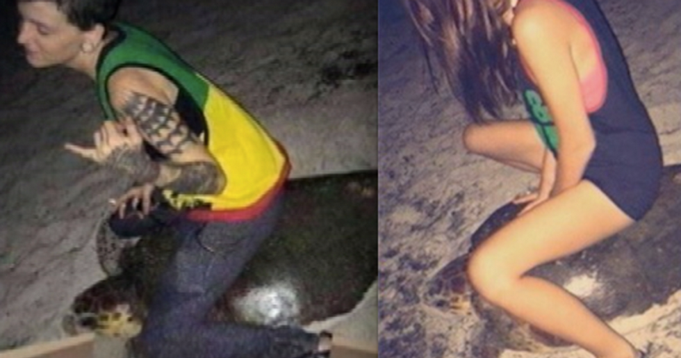 7 Extremely Weird Things That Happened In Florida This Month