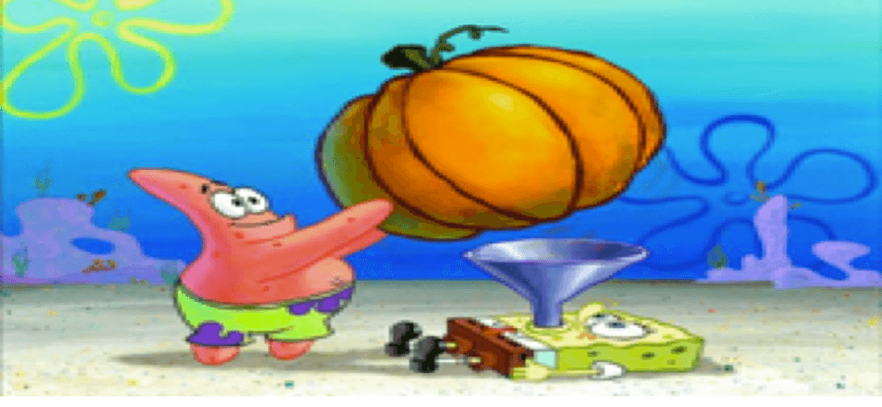 The 4 Stages Every Fall Enthusiast Knows Too Well