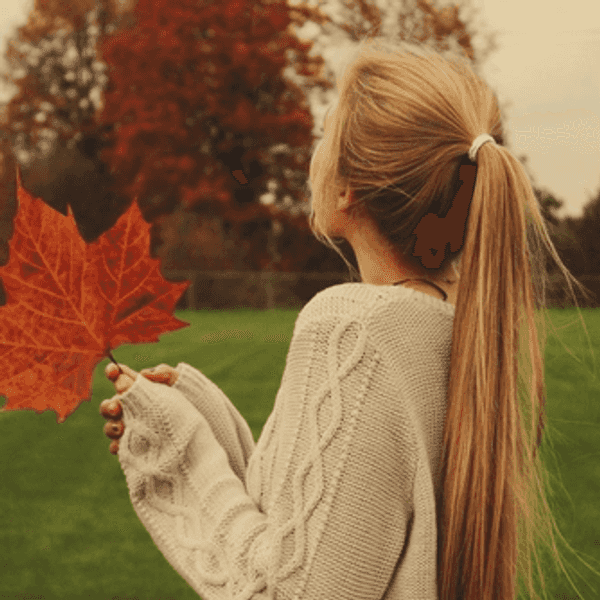 Every Girl's Basic Guide To Fall