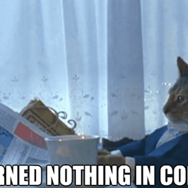 College As Told by Cats