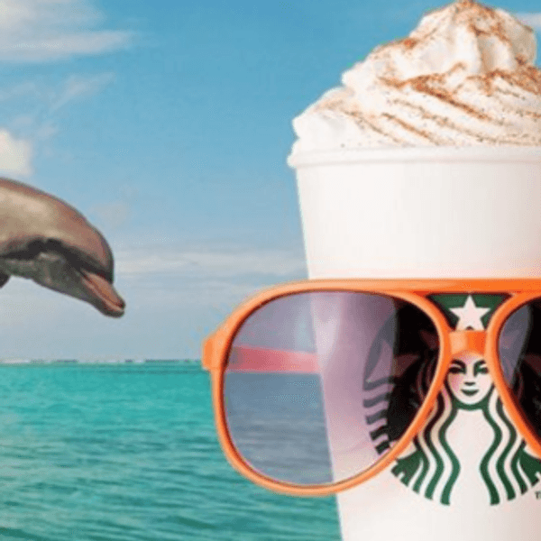 Starbucks: A College Student's Trusty Sidekick