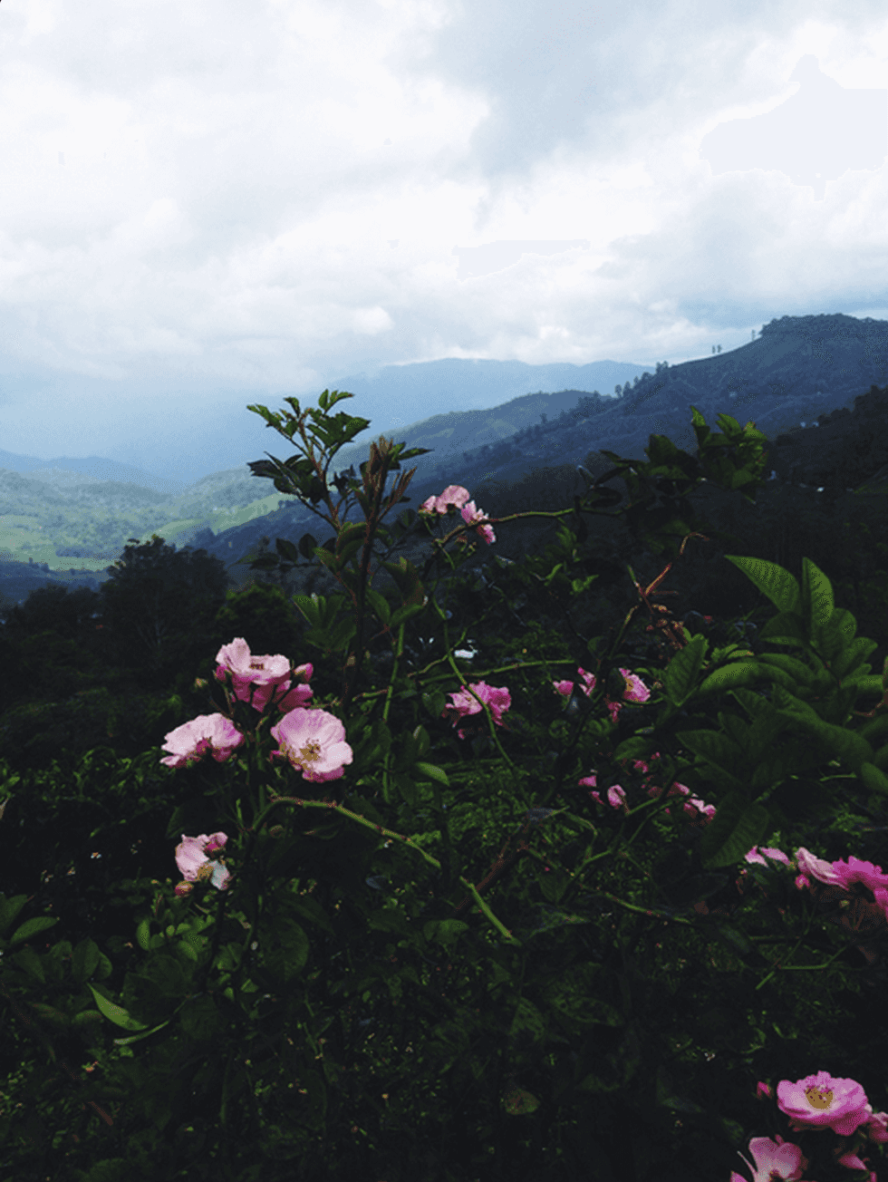 How Working At A Summer Camp Helped Me Grow