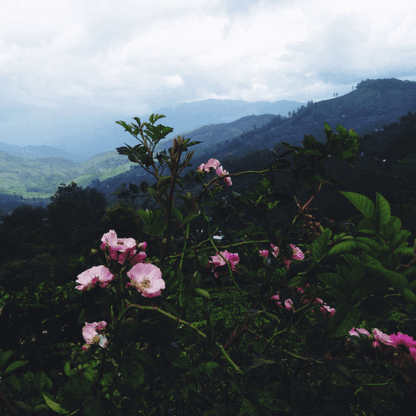 How Working At A Summer Camp Helped Me Grow