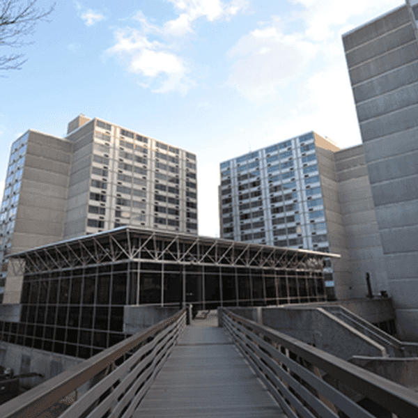 How To Survive In A Triple