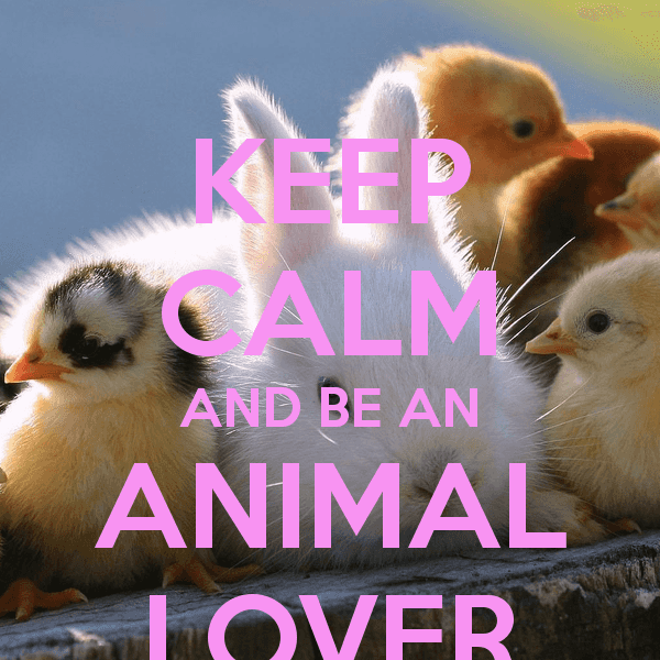 Why You Need An Animal In Your Life