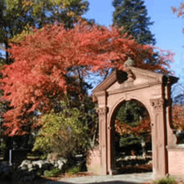 Ramapo: Advanced Irrelevance