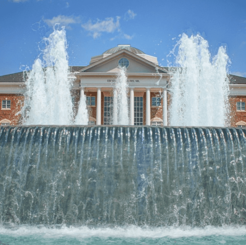 What Does Your Favorite Elon Fountain Say About You?