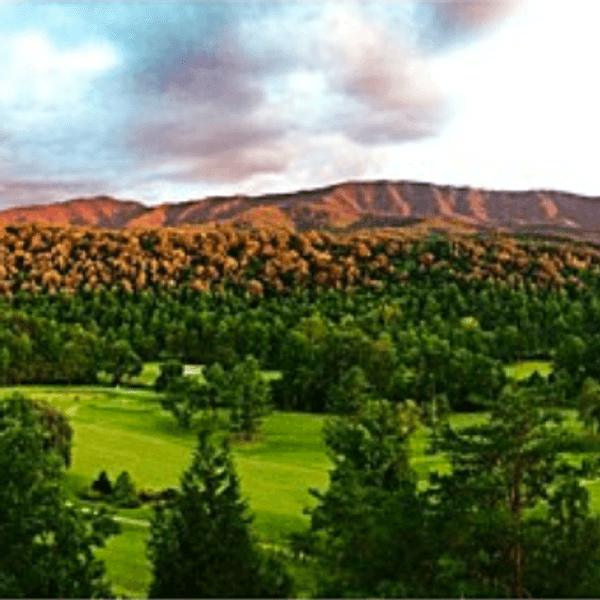 10 Reasons Tennessee is Better Than Any Other State