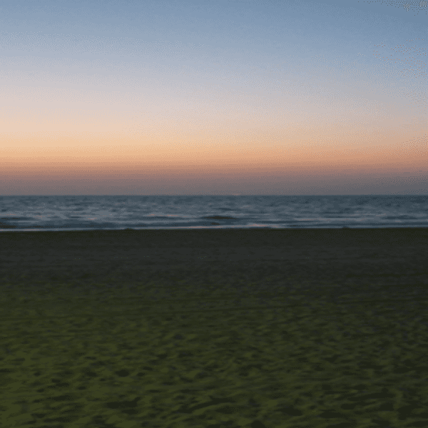 Through The Eyes Of An Adventurer