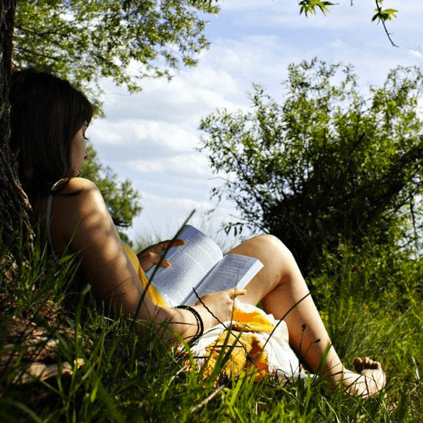 Little Pleasures All Book Lovers Experience