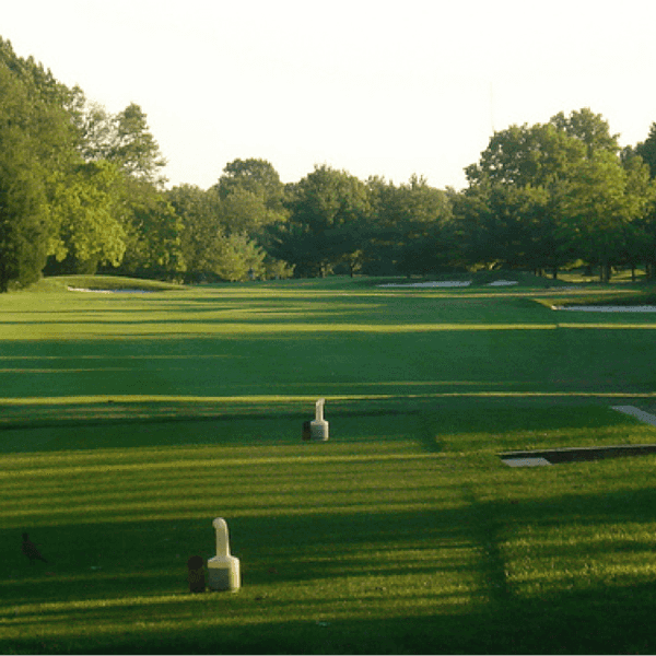Five Reasons Why You Should Play Golf