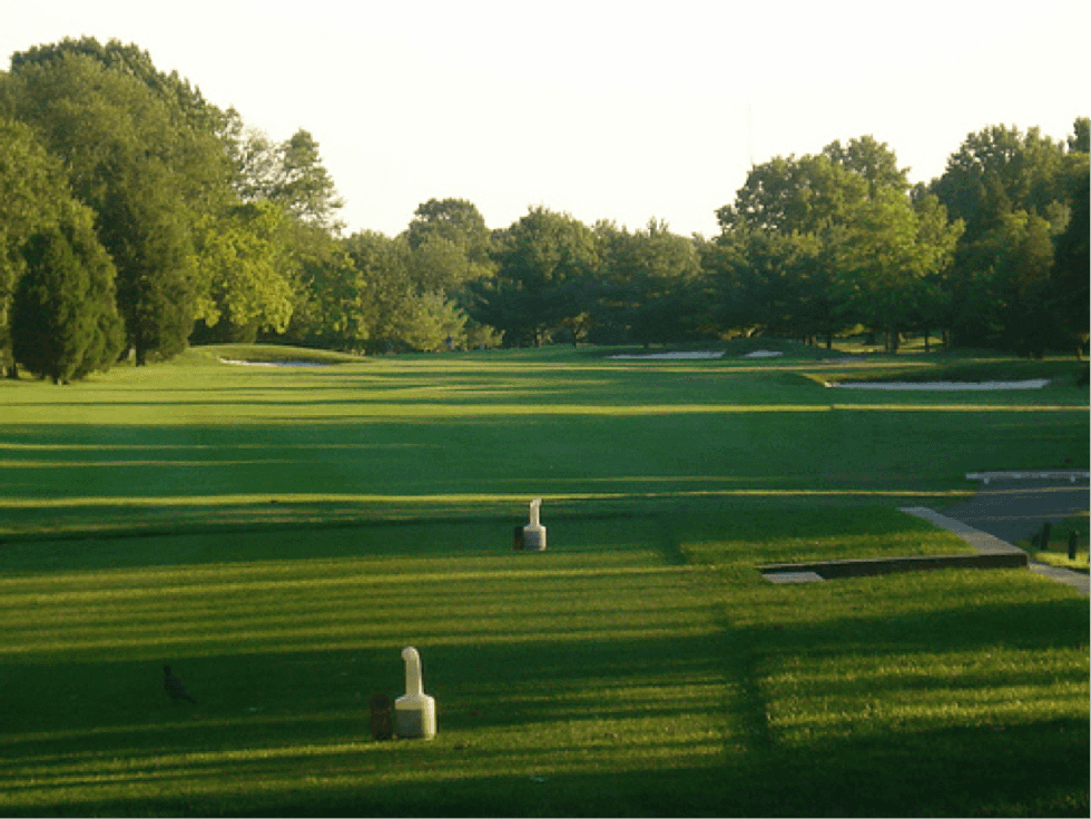 Five Reasons Why You Should Play Golf