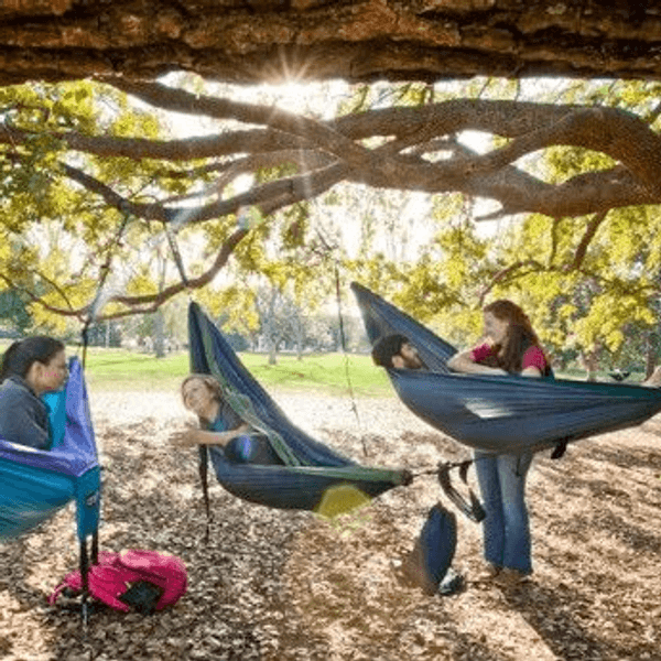 6 Things to Try When You're Bored on Campus