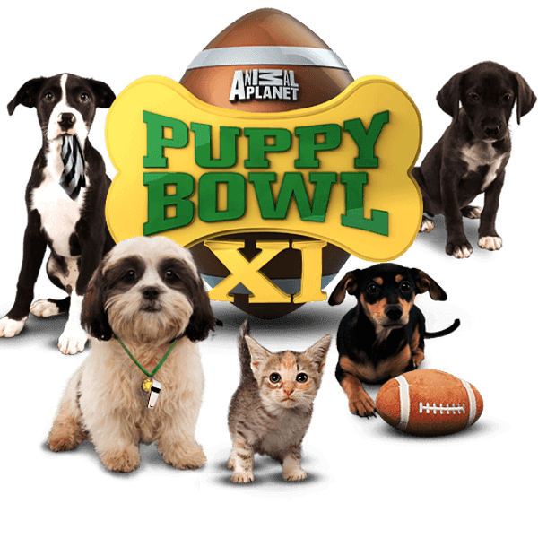 Puppy Bowl Sunday