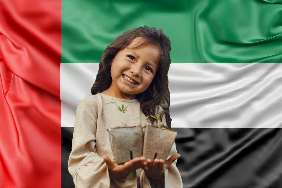 Importance of education and the prospects of American schooling system.