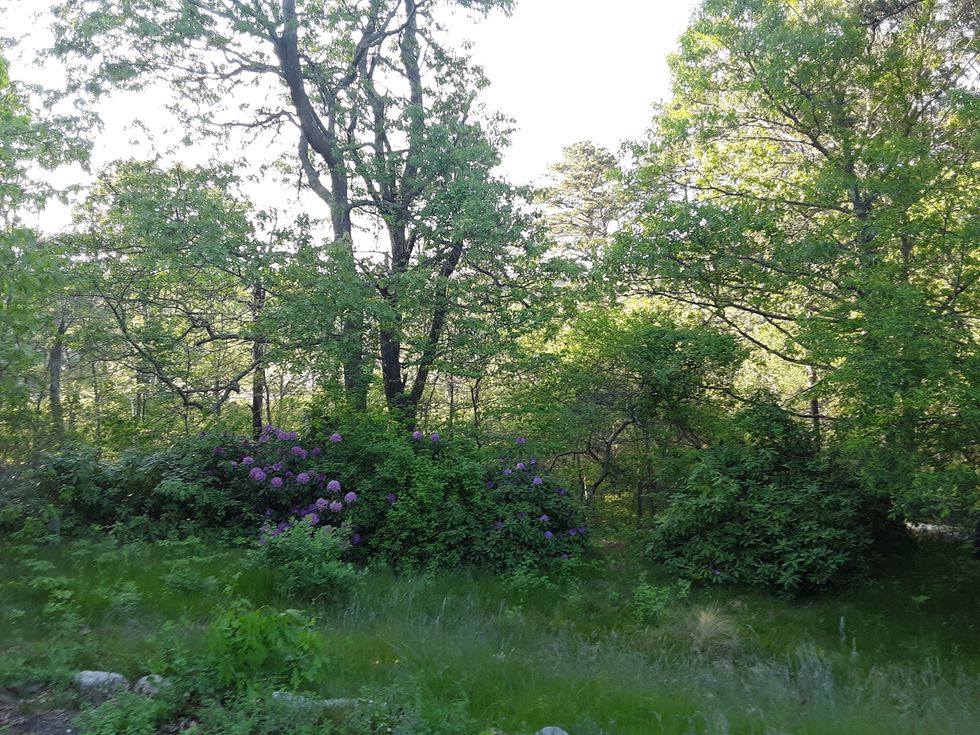 Silence In A Time Of Pandemic And Protest