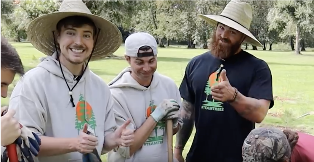 Influencers Planting Trees