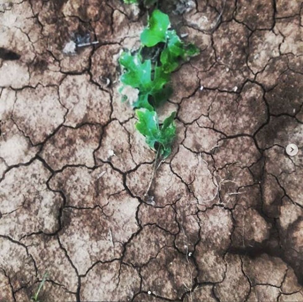 Your Reality Isn't The Rest Of The World's Reality