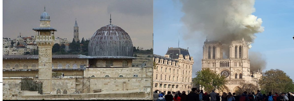 Instagram/@paliroots  @riaverhoeff