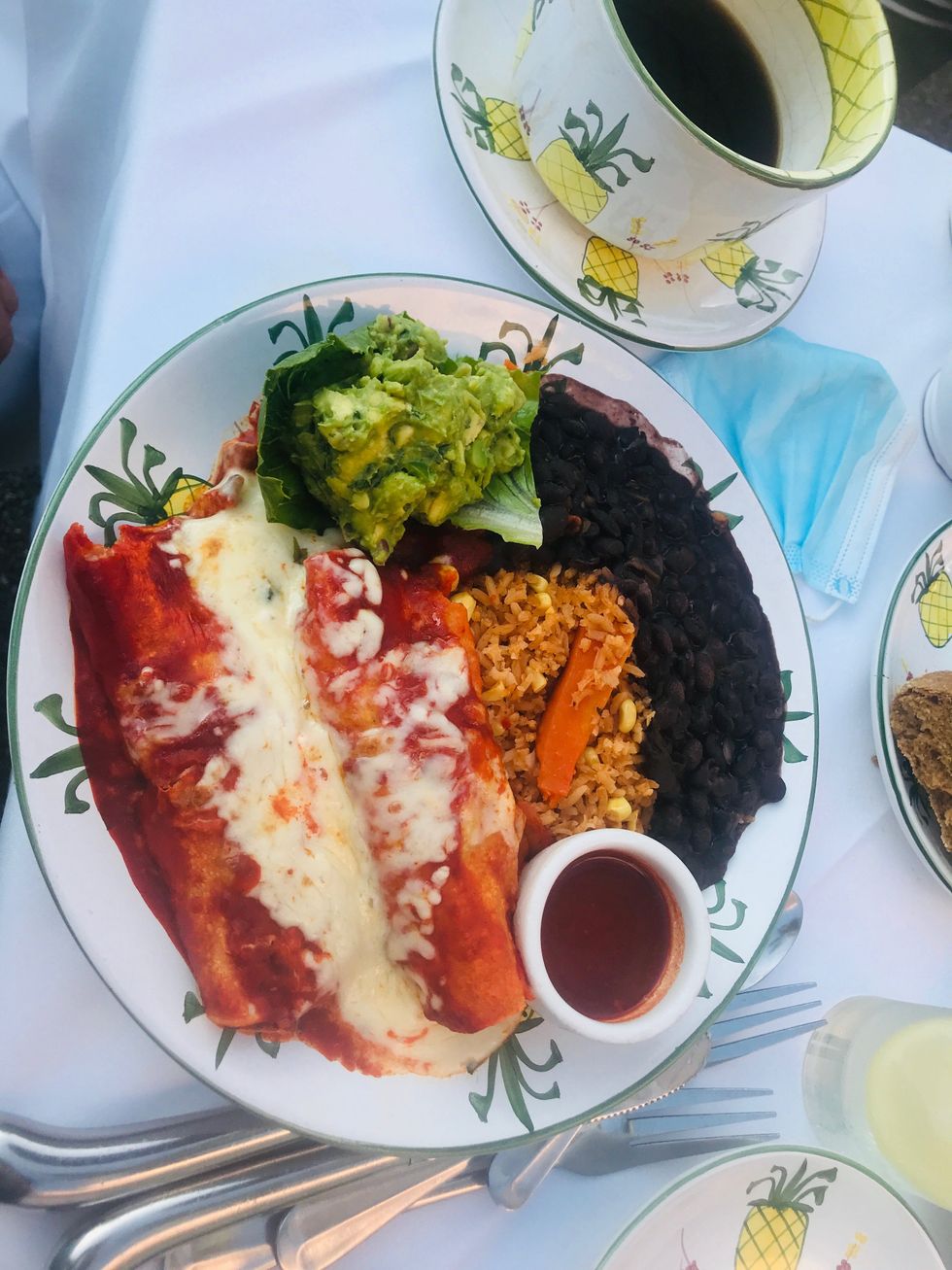 Ivy by The Shore Dish
