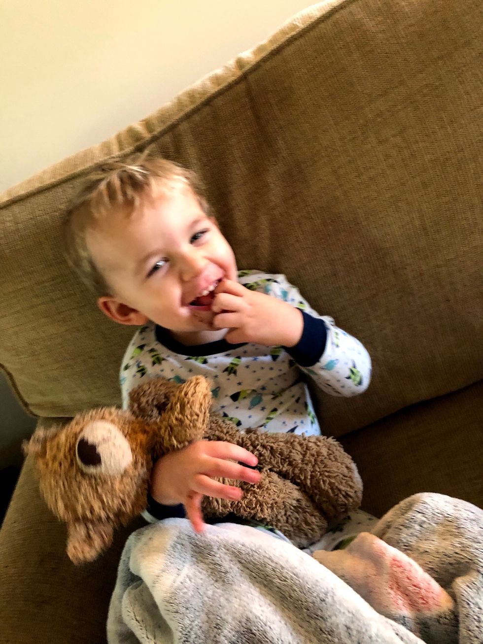 Cat The Bear That Meows