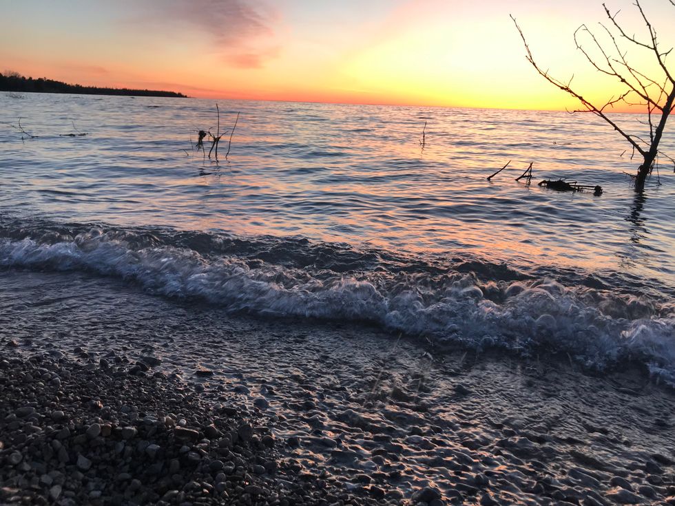 I Found My Passion, You Can Too