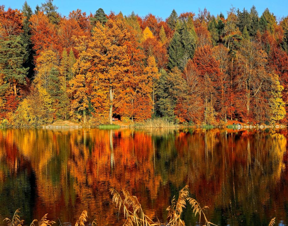Lake sorrounded by trees with their autumn colored leaves.