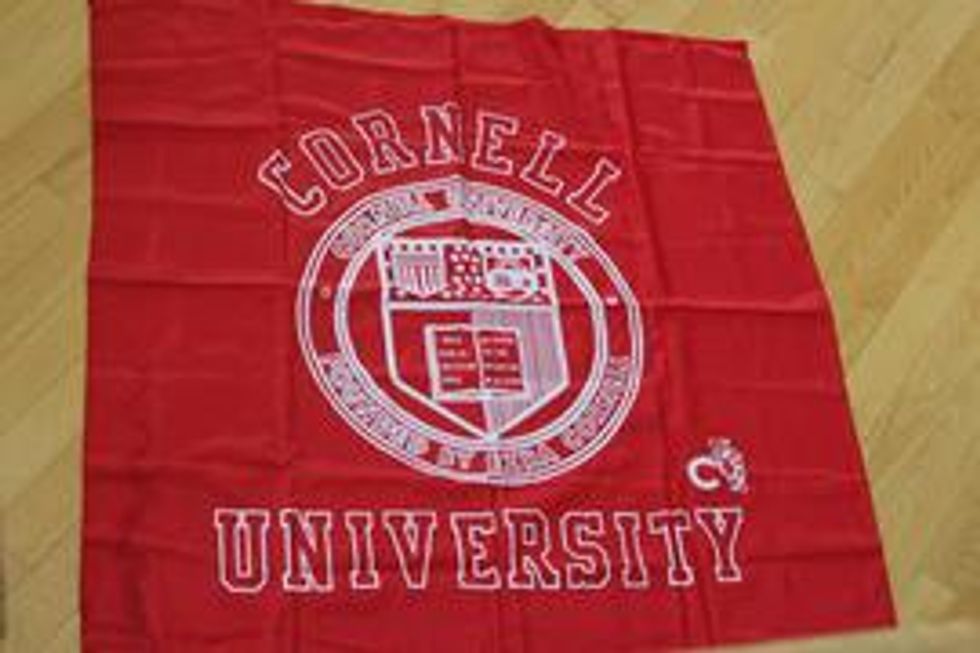 Large red Cornell University Banner