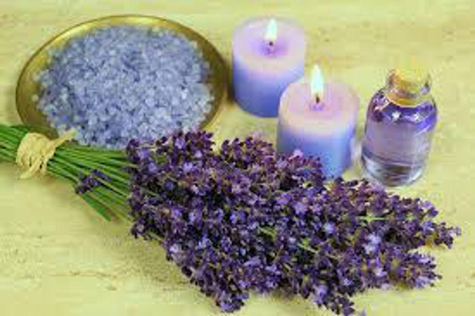 lavender herbs