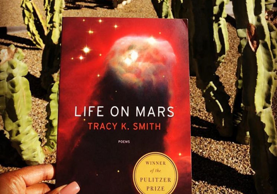 Life on Mars book